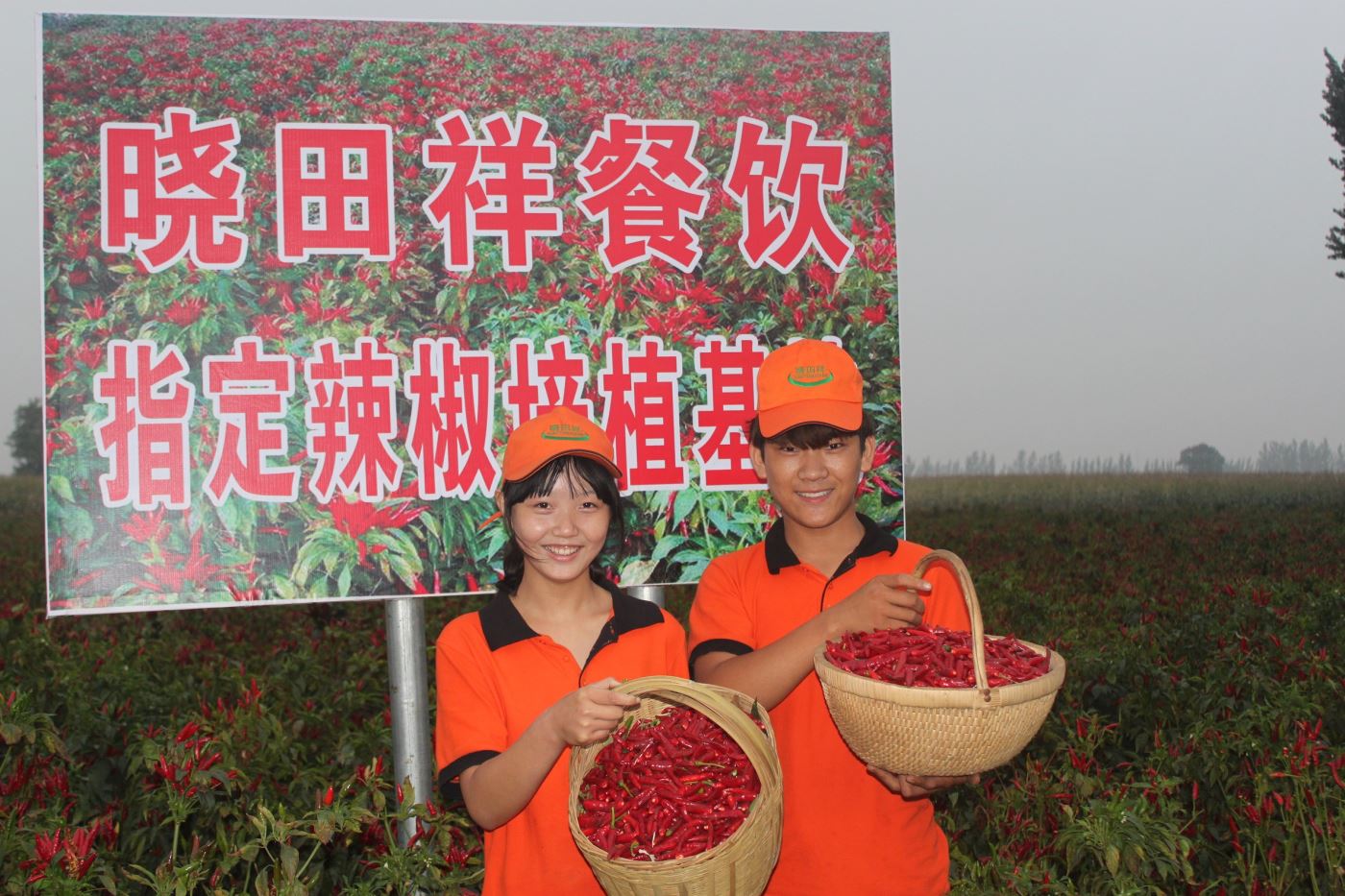 成立食材基地